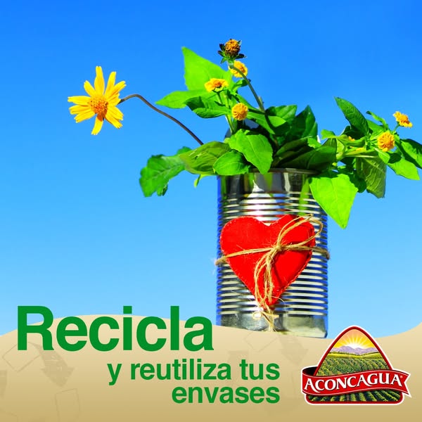 Aconcagua Foods